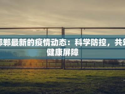 邯郸最新的疫情动态：科学防控，共筑健康屏障