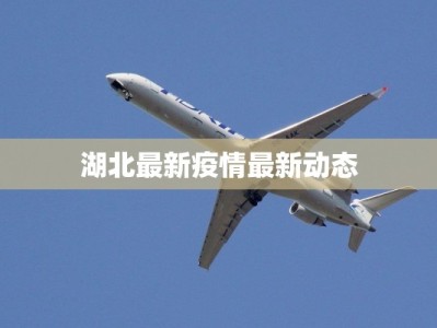 湖北最新疫情最新动态