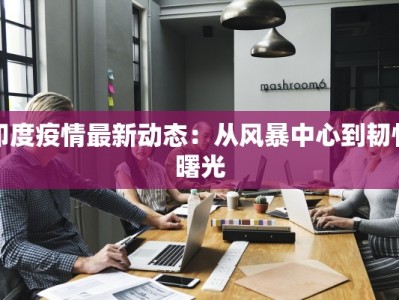 印度疫情最新动态：从风暴中心到韧性曙光