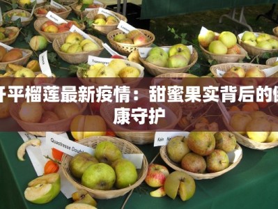 甘肃庆云最新疫情：科学防控，守护健康新篇章