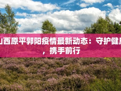 山西原平郭阳疫情最新动态：守护健康，携手前行