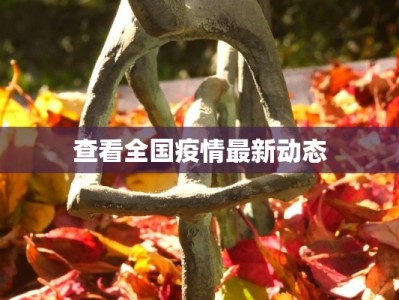 查看全国疫情最新动态