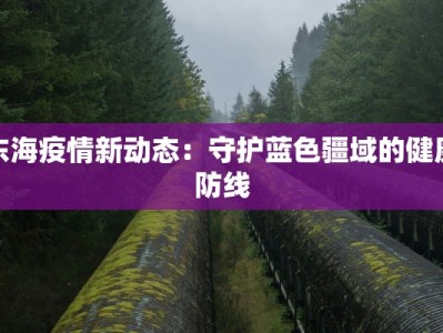 东海疫情新动态：守护蓝色疆域的健康防线
