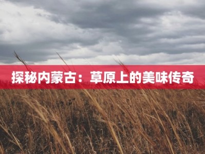 探秘内蒙古：草原上的美味传奇