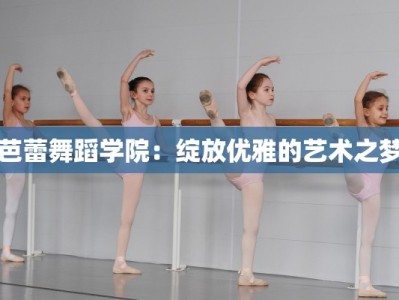芭蕾舞蹈学院：绽放优雅的艺术之梦