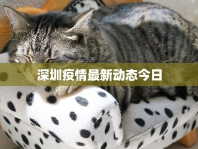 遵义最新消息疫情防控：守护健康，共克时艰