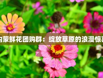 内蒙鲜花团购群：绽放草原的浪漫惊喜