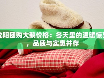 沈阳团购大鹅价格：冬天里的温暖惊喜，品质与实惠并存
