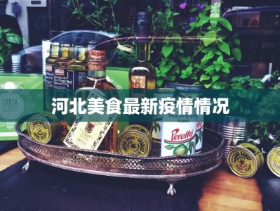 河北美食最新疫情情况