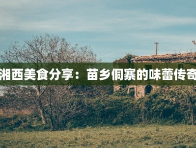 湘西美食分享：苗乡侗寨的味蕾传奇