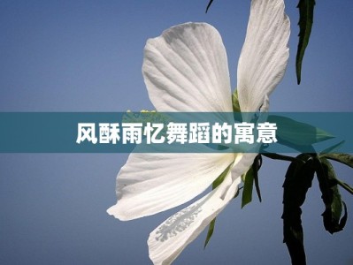 风酥雨忆舞蹈的寓意