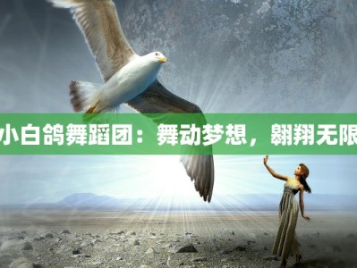 小白鸽舞蹈团：舞动梦想，翱翔无限