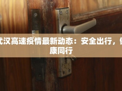武汉高速疫情最新动态：安全出行，健康同行
