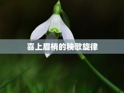 喜上眉梢的秧歌旋律