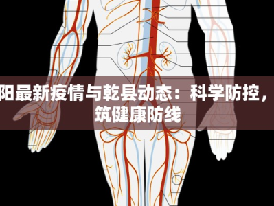 咸阳最新疫情与乾县动态：科学防控，共筑健康防线