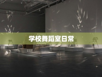 学校舞蹈室日常