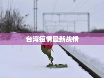 台湾疫情最新战情
