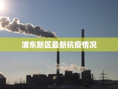浦东新区最新抗疫情况