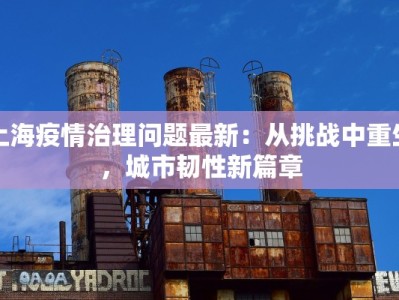 上海疫情治理问题最新：从挑战中重生，城市韧性新篇章