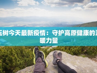 玉树今天最新疫情：守护高原健康的温暖力量