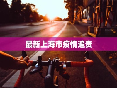 最新上海市疫情追责