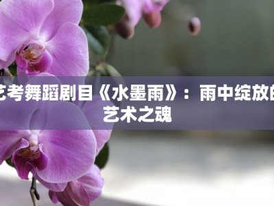 艺考舞蹈剧目《水墨雨》：雨中绽放的艺术之魂