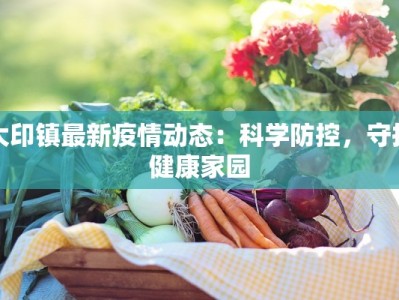 大印镇最新疫情动态：科学防控，守护健康家园