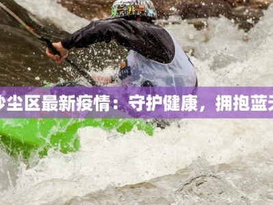 沙尘区最新疫情：守护健康，拥抱蓝天