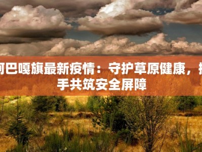 安徽汊河最新疫情防控：守护家园，共克时艰