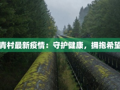 青村最新疫情：守护健康，拥抱希望