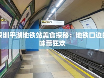 深圳平湖地铁站美食探秘：地铁口边的味蕾狂欢