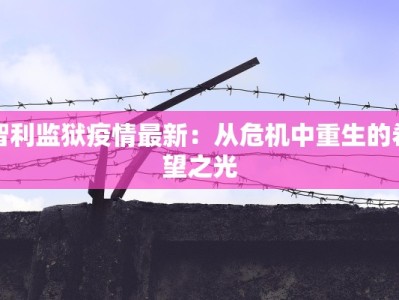 丽水青林疫情最新情况