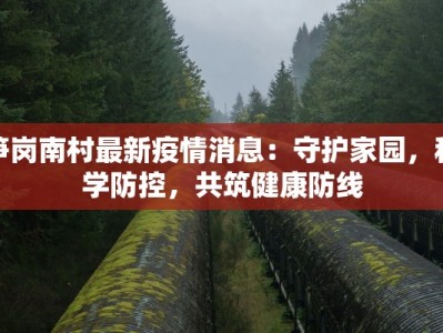 笋岗南村最新疫情消息：守护家园，科学防控，共筑健康防线