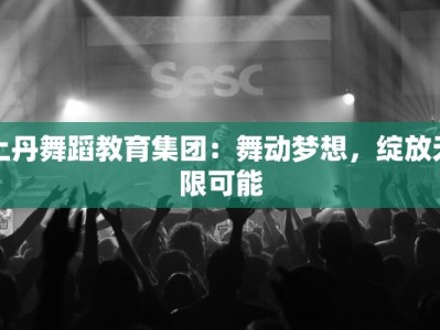 上丹舞蹈教育集团：舞动梦想，绽放无限可能