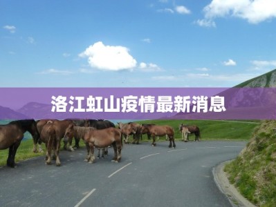 洛江虹山疫情最新消息