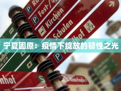 宁夏固原：疫情下绽放的韧性之光