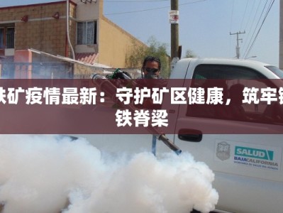 铁矿疫情最新：守护矿区健康，筑牢钢铁脊梁