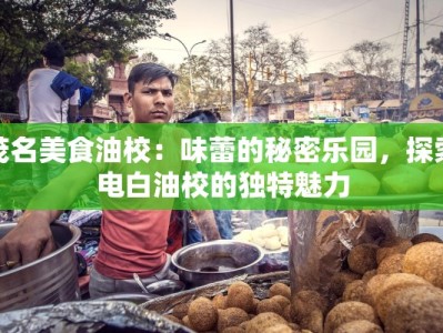 茂名美食油校：味蕾的秘密乐园，探索电白油校的独特魅力