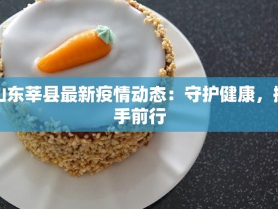 山东莘县最新疫情动态：守护健康，携手前行