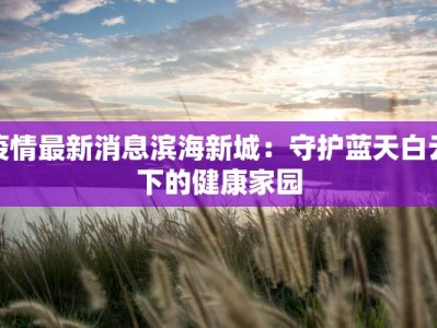 疫情最新消息滨海新城：守护蓝天白云下的健康家园