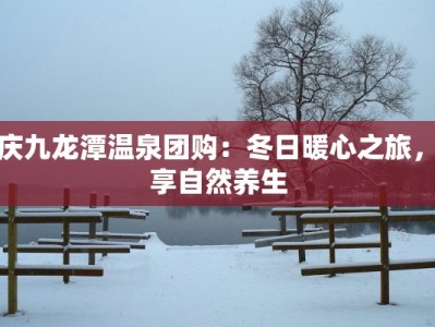 大庆九龙潭温泉团购：冬日暖心之旅，尽享自然养生