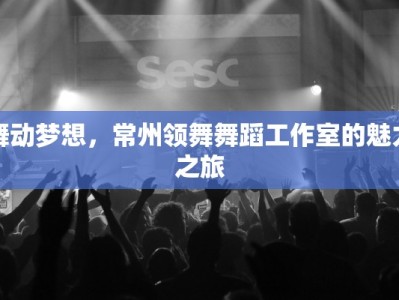 舞动梦想，常州领舞舞蹈工作室的魅力之旅