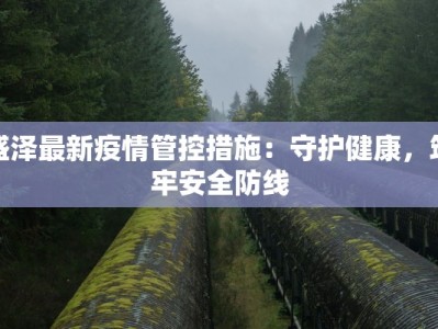 襄阳高速最新疫情防控：守护出行，筑牢安全防线