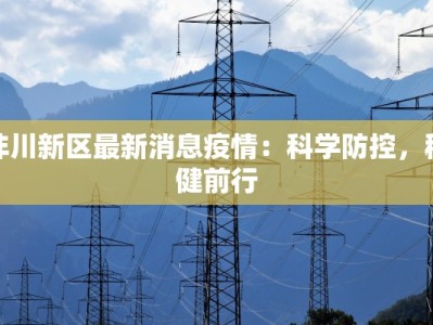 沣川新区最新消息疫情：科学防控，稳健前行
