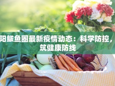 沈阳鲅鱼圈最新疫情动态：科学防控，共筑健康防线
