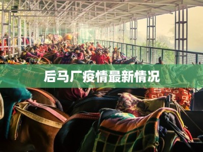 龙口最新疫情情况：科学防控，共筑健康防线