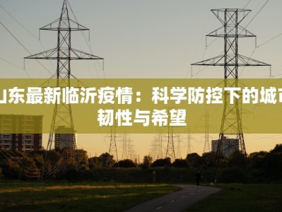 山东最新临沂疫情：科学防控下的城市韧性与希望