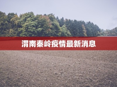 广西番禺最新疫情情况