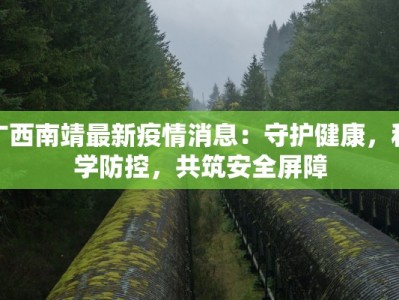 广西南靖最新疫情消息：守护健康，科学防控，共筑安全屏障