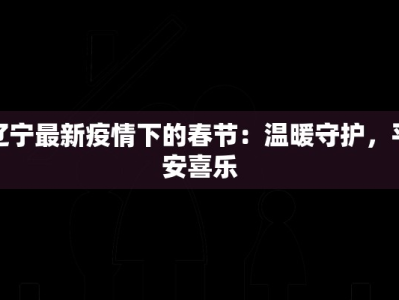 辽宁最新疫情下的春节：温暖守护，平安喜乐